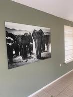 Olifant glas schilderij, Ophalen of Verzenden, 1980 tot heden, Zo goed als nieuw