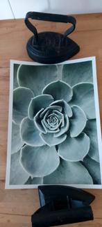 Desenio Posters - 6 stuks met passe-partout, Ophalen of Verzenden, Zo goed als nieuw, Minder dan 50 cm