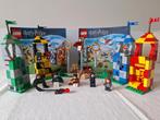 Z.g.a.n. LEGO Harry Potter Zwerkbal Wedstrijd - 75956, Kinderen en Baby's, Speelgoed | Duplo en Lego, Ophalen, Zo goed als nieuw