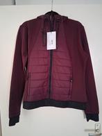 Splinternieuw Dressage trainingsjacket Berry 40/42, Ophalen of Verzenden, Nieuw, Bovenkleding