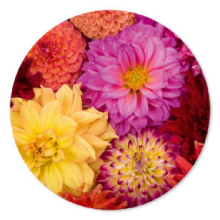 Muurcirkel Dahlia's, prachtige kleuren, Huis en Inrichting, Woonaccessoires | Wanddecoraties, Nieuw, Ophalen of Verzenden