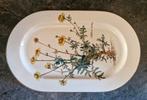 Botanicus Vleesschaal - Villeroy & Boch, Porselein of Keramiek, Schaal, Ophalen of Verzenden, Zo goed als nieuw