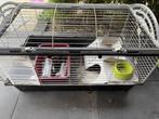 Konijnenkooi, cavia kooi, Dieren en Toebehoren, Kooi, Gebruikt, Cavia, 75 tot 110 cm