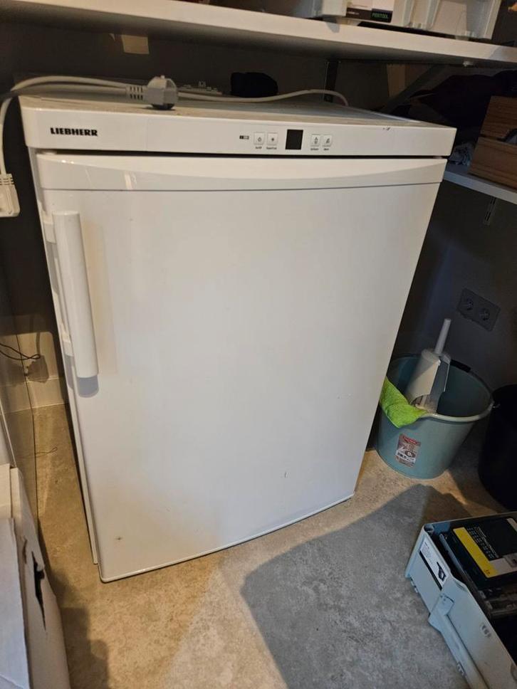 Liebherr GP 1496-20 Vriezer - Vrieskast, Witgoed en Apparatuur, Vriezers en Diepvrieskisten, Gebruikt, Vrijstaand, Vrieskast, 85 tot 120 cm