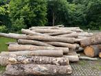 Essen stammen te koop, 6 m³ of meer, Ophalen, Essenhout, Stammen