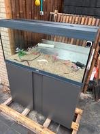 Als nieuw aquarium met Eheim kast, Ophalen, Zo goed als nieuw, Leeg aquarium