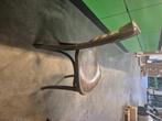 9 stevige houten stoelen!, Ophalen, Gebruikt, Bruin, Vijf, Zes of meer stoelen