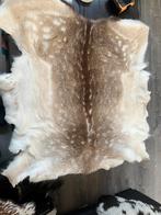 Mooie Vacht - Decoratief & Warm denk hert, Wit, Zo goed als nieuw, Overige vormen, 50 tot 100 cm