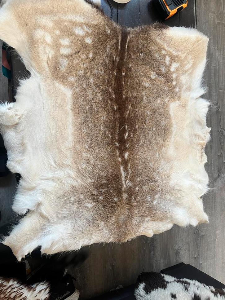 Mooie Vacht - Decoratief & Warm, Huis en Inrichting, Stoffering | Tapijten en Kleden, Zo goed als nieuw, 50 tot 100 cm, Overige vormen