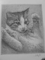 Fraaie ets van jonge kat, Ophalen of Verzenden