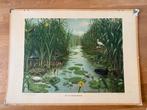 Oude schoolplaat Koekoek - Naardermeer, Antiek en Kunst, Antiek | Schoolplaten, Ophalen of Verzenden, Natuur en Biologie