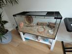 Hamsterkooi (Afhalen Vogelenbuurt Utrecht), Kooi, Gebruikt, Hamster, 75 tot 110 cm