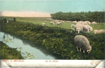 (388-466-007) Arnhem op de Heide beschikbaar voor biedingen