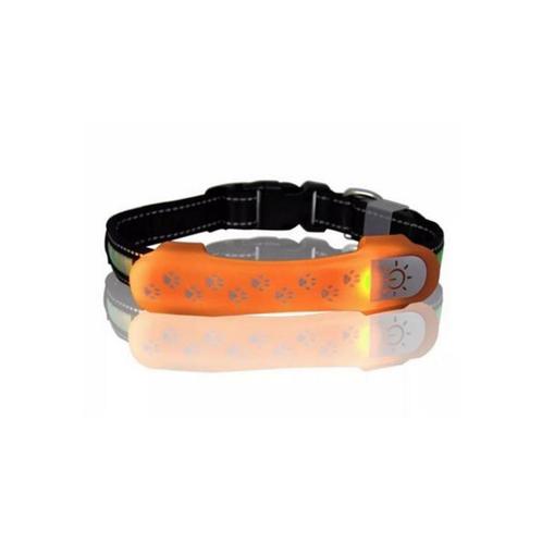 LED lichtband hond halsband hond, Hobby en Vrije tijd, Overige Hobby en Vrije tijd, Nieuw, Ophalen of Verzenden