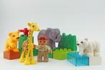Duplo Lego stadsdierentuin #0, Duplo, Ophalen of Verzenden, Zo goed als nieuw