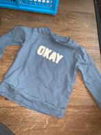 Leuke trui Zeeman maat 86, Ophalen of Verzenden, Zo goed als nieuw, Jongetje of Meisje, Truitje of Vestje