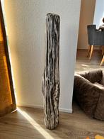 prachtige stam versteendhout uit indonesie petrified wood, Ophalen of Verzenden