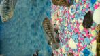 Malawi, Dieren en Toebehoren, Vissen | Aquariumvissen, Vis