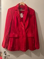 Primark Paula Echevarría rood fluwelen jasje Oeteldonk Mt42, Kleding | Dames, Ophalen of Verzenden