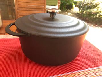 t.k.Vivo Villeroy&Boch braadpan gietijzer 24cm INDUCTIE beschikbaar voor biedingen