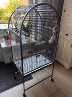 Papegaaienkooi Stam2 zwart, kooi dit jaar gekocht 9april, Dieren en Toebehoren, Ophalen, Zo goed als nieuw, Metaal, Vogelkooi