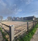 Kleinschalige stalling voor pony in Almere-Hout, Weidegang