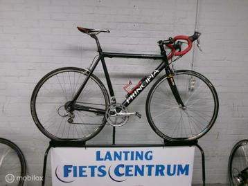 PRINCIPIA  REX   58  CM beschikbaar voor biedingen