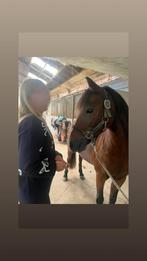 Stal medewerker aangeboden, Overige vormen