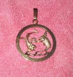 14 K Gouden hanger, sterrenbeeld vissen, Gebruikt, Overige voorstellingen, Verzenden, Goud