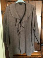 Mooie vest van Samoon - Maat 54, Kleding | Dames, Grote Maten, Ophalen of Verzenden, Gedragen, Trui of Vest