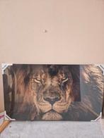 Nieuw schilderij leeuw. Canvasdoek doek. 70x118, Ophalen, Nieuw, Vrijstaande haard, Elektrische haard