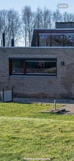 Pui met vleugel, Ophalen of Verzenden