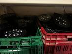 LED Lampen & Spots - Complete Set, Muziek en Instrumenten, Ophalen, Gebruikt, Licht, Kleur