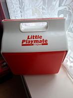 Koelbox - Ideaal voor onderweg!, Ophalen of Verzenden, Gebruikt, Koelbox, Koelelement