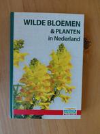 Wilde bloemen en planten in Nederland, Ophalen of Verzenden, Nieuw, Bloemen, Planten en Bomen