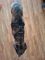 Hondentuig maat L, Ophalen of Verzenden, Zo goed als nieuw