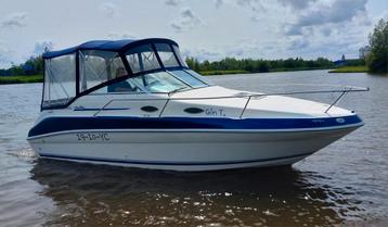 Prachtige Sea Ray 240 met Boegschroef nieuwe kap en bekledin beschikbaar voor biedingen