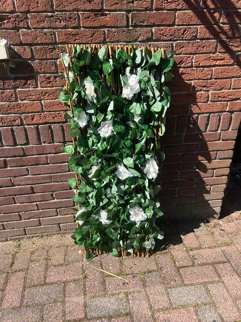 Wilge trellis met zijde bladeren en witte bloemen, Tuin en Terras, Planten | Struiken en Hagen, Haag, 100 tot 250 cm, Ophalen of Verzenden