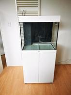 Aquarium Juwel lido 120 wit + meubel + led controller, Gebruikt, Ophalen