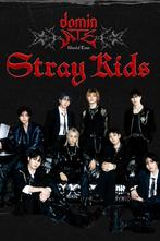 2 Stray kids tickets paris 26/07, Tickets en Kaartjes, Twee personen, Juli