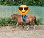 Super lieve C kinderpony merrie, Dieren en Toebehoren, Merrie, C pony (1.27m tot 1.37m), 11 jaar of ouder, Recreatiepony