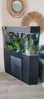 Prachtig hoekaquarium aangeboden inclusief zwarte kast, Dieren en Toebehoren, Ophalen, Gevuld zoetwateraquarium