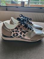 Beige sneakers koeienprint pepe jeans mt 40, Beige, Ophalen of Verzenden, Pepe Jeans, Sneakers of Gympen