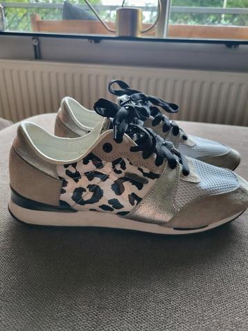 Beige sneakers koeienprint pepe jeans mt 40  beschikbaar voor biedingen