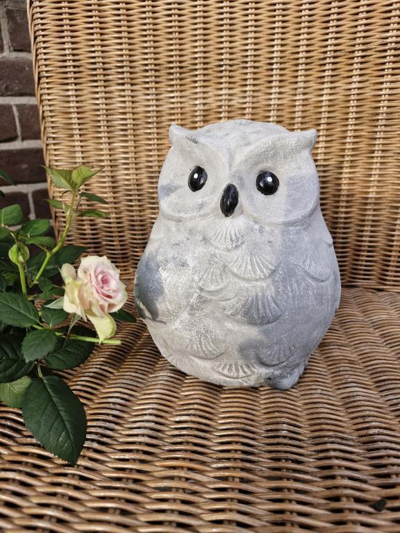 uil van beton, Ophalen of Verzenden, Nieuw, Dier