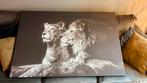 Grote Leeuwen Print op Canvas - 100x150 cm, Huis en Inrichting, Woonaccessoires | Schilderijen, Tekeningen en Foto's, Ophalen