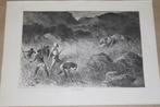 Antieke gravure - Jacht op een leeuwin (Afrika) - 1871 !!, Antiek en Kunst, Ophalen of Verzenden