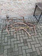 Takken druif, Ophalen, 100 tot 150 cm, Zo goed als nieuw, Minder dan 100 cm