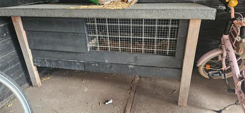Konijnenhok, Dieren en Toebehoren, Knaagdieren en Konijnen | Hokken en Kooien, Zo goed als nieuw, Hok, 90 cm of meer, 110 cm of meer
