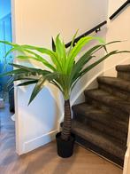 Kunstplant Ikea - Palm in pot, Huis en Inrichting, Ophalen, 100 tot 150 cm, Palm, In pot